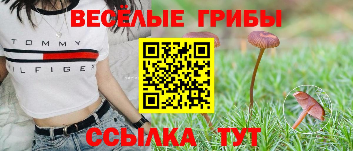 Галлюциногенные грибы ЛСД Йошкар-Ола