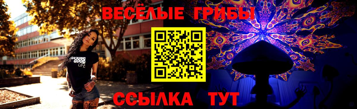 Йошкар-Ола  Галлюциногенные грибы ЛСД  Вход с VPN 